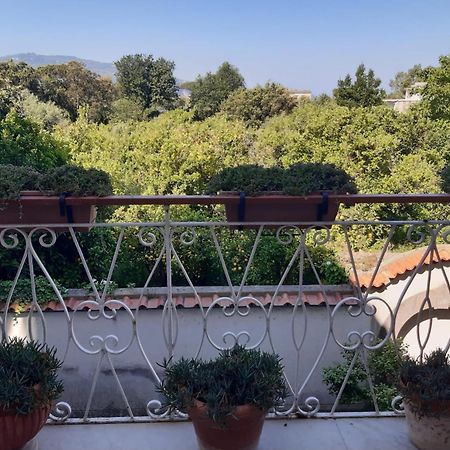 La Casa Di Rosa - Casa Vacanze ميتا المظهر الخارجي الصورة