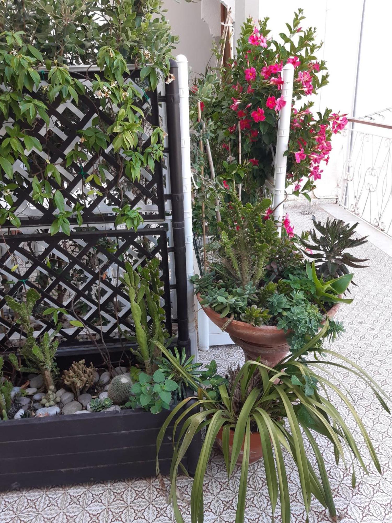 La Casa Di Rosa - Casa Vacanze ميتا المظهر الخارجي الصورة